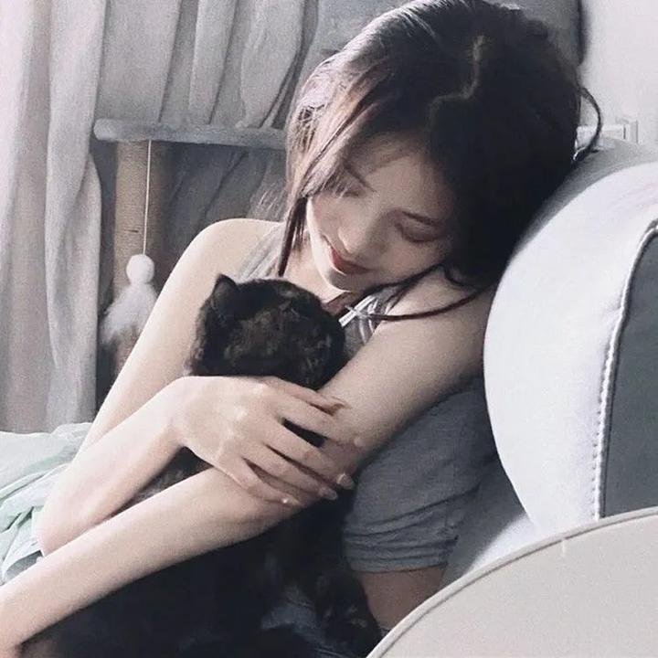 加菲猫和他的朋友们第七季封面