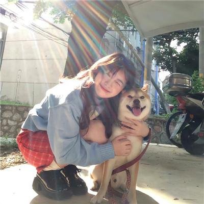 属鼠的夫人首屏封面